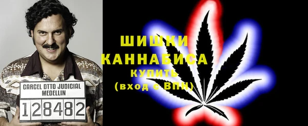 индика Богородск