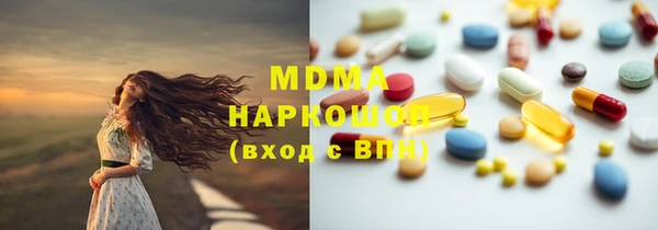 индика Каменногорск