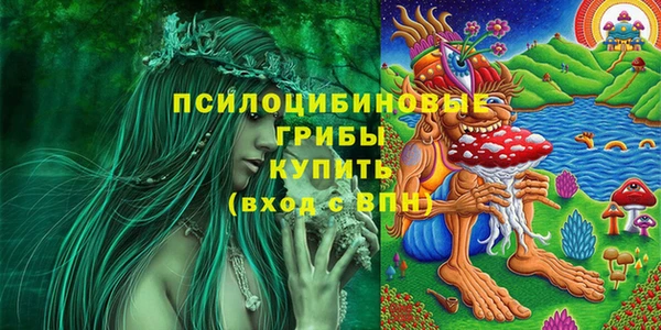 mdma Каменка