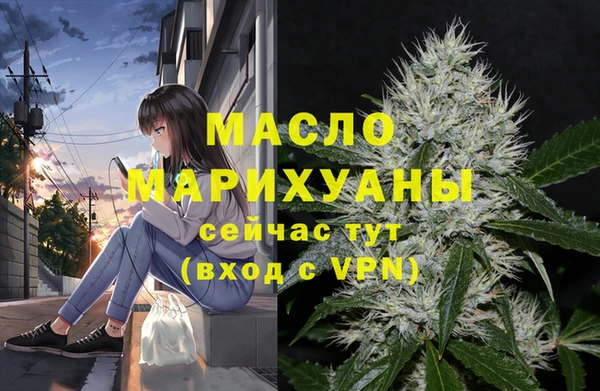 индика Богородск