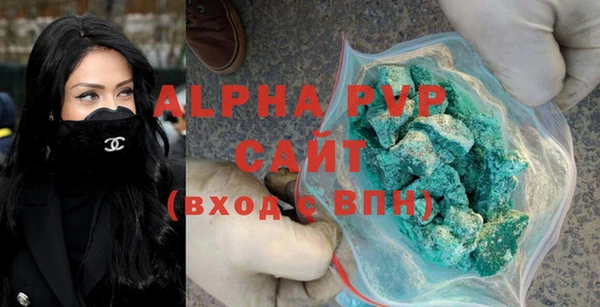индика Богородск