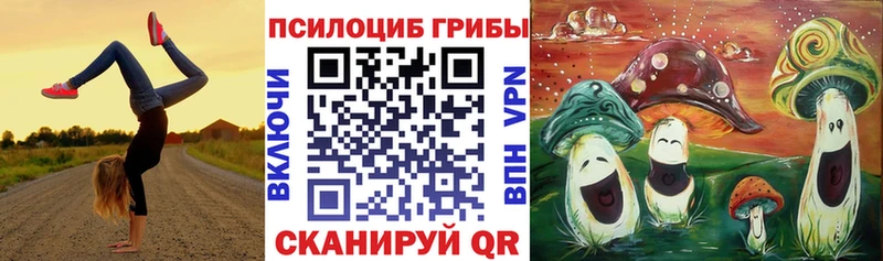 Псилоцибиновые грибы мицелий  Кола 